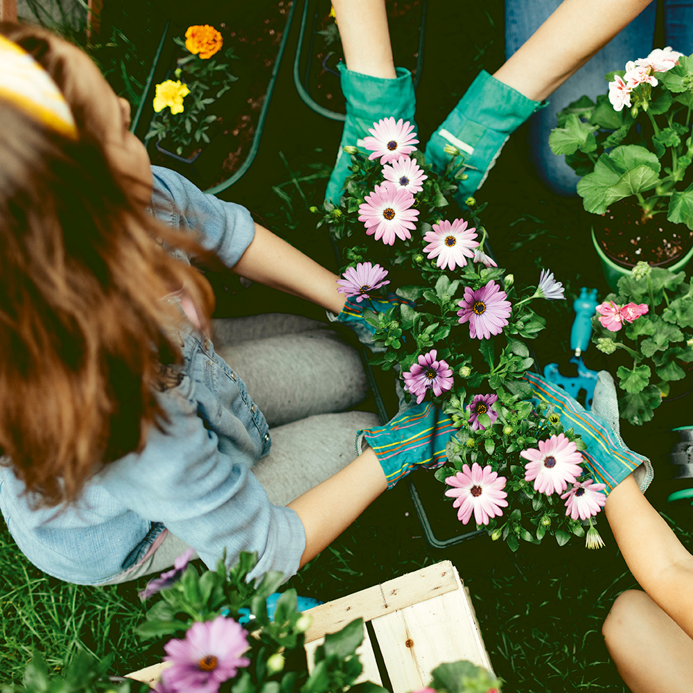 Veranstaltungsbild der Kategorie Nachbarschaft